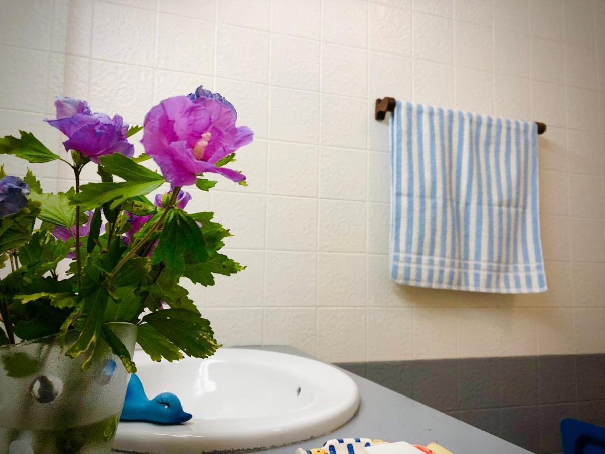 Casa Do Trevo Apartment Salir de Porto Ngoại thất bức ảnh