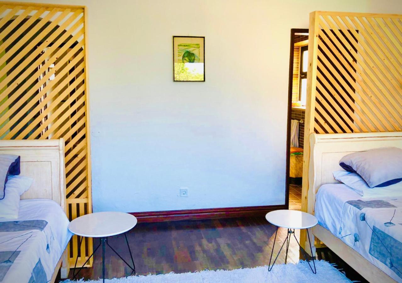 Casa Do Trevo Apartment Salir de Porto Ngoại thất bức ảnh